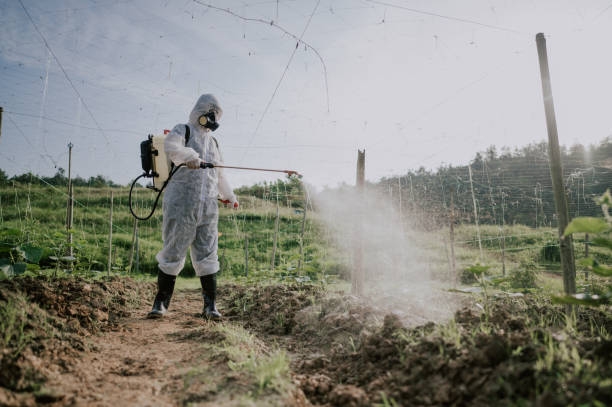 Best Affordable Pest Control Services  in Pine Mountain, GA