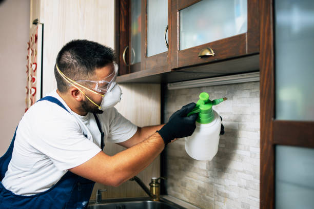 Best Exterminator Services  in Pine Mountain, GA