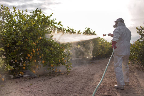 Best Pest Control for Homes  in Pine Mountain, GA