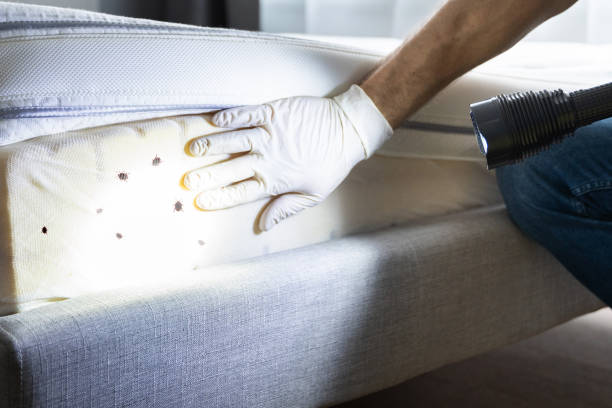 Best Commercial Pest Control Services  in Pine Mountain, GA