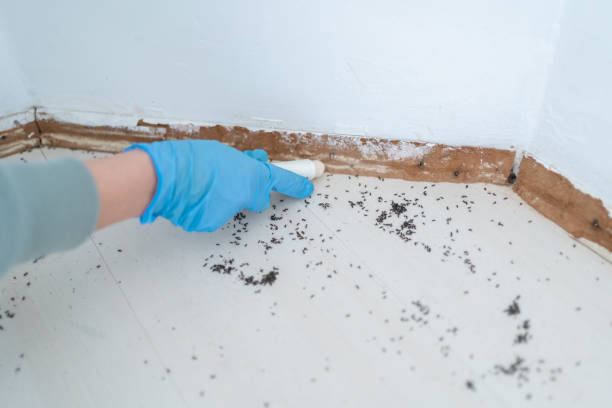 Best Wasp Removal Services  in Pine Mountain, GA