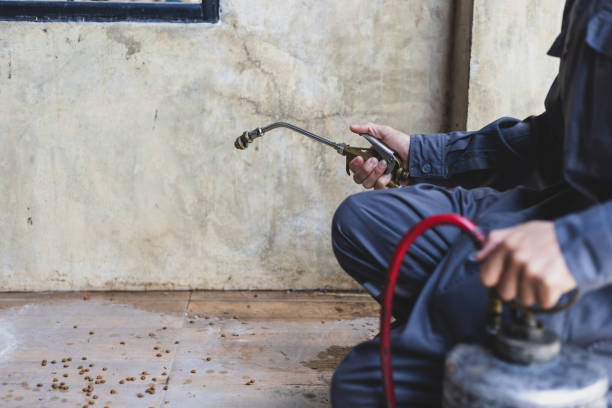Best Local Pest Control Services  in Pine Mountain, GA