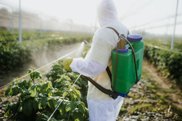 Best Local Pest Control Services  in Pine Mountain, GA